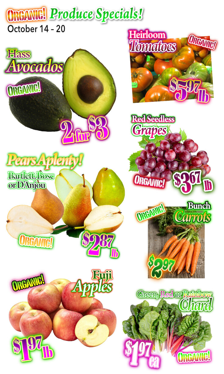 Circular Page 4